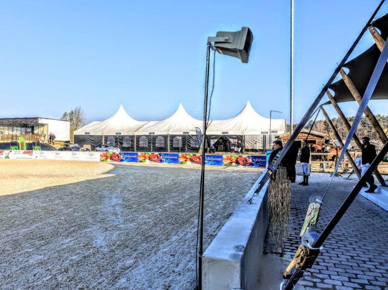 Libby Newman Team Equihunter Show Jumping