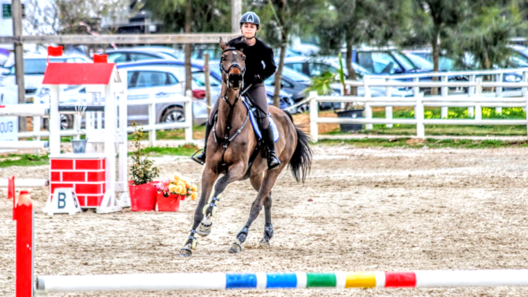 Libby Newman Team Equihunter Show Jumping