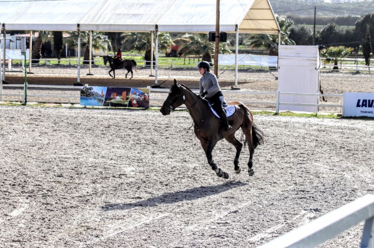 Libby Newman Team Equihunter Show Jumping
