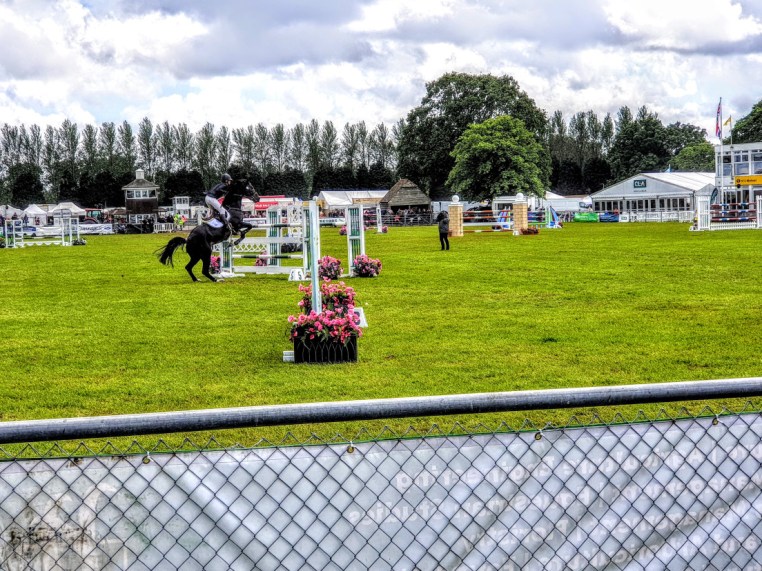 Libby Newman Team Equihunter Show Jumping