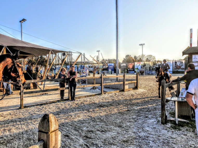 Libby Newman Team Equihunter Show Jumping