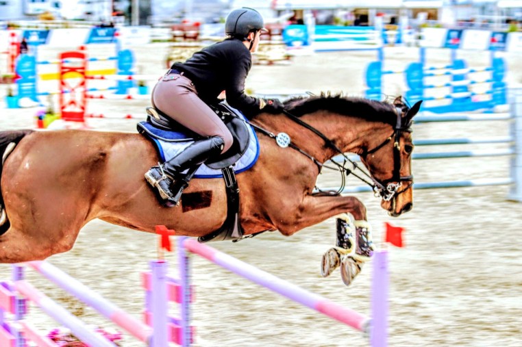 Libby Newman Team Equihunter Show Jumping
