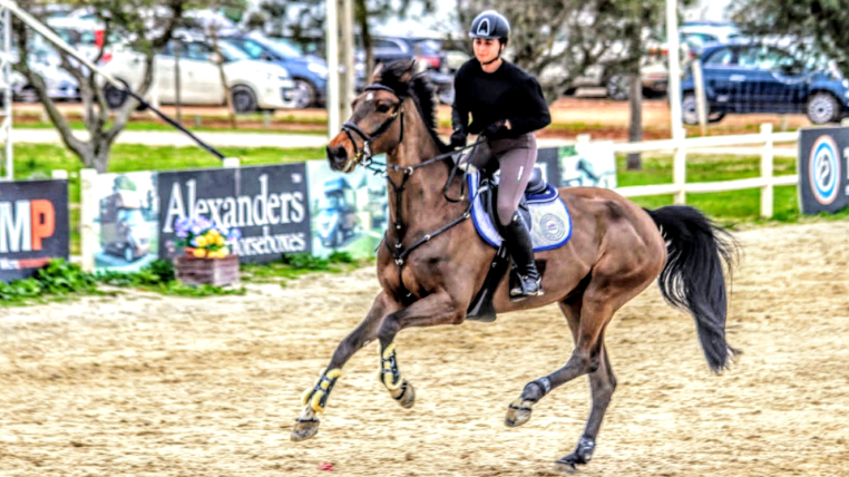 Libby Newman Team Equihunter Show Jumping