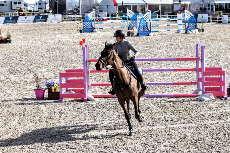 Libby Newman Team Equihunter Show Jumping