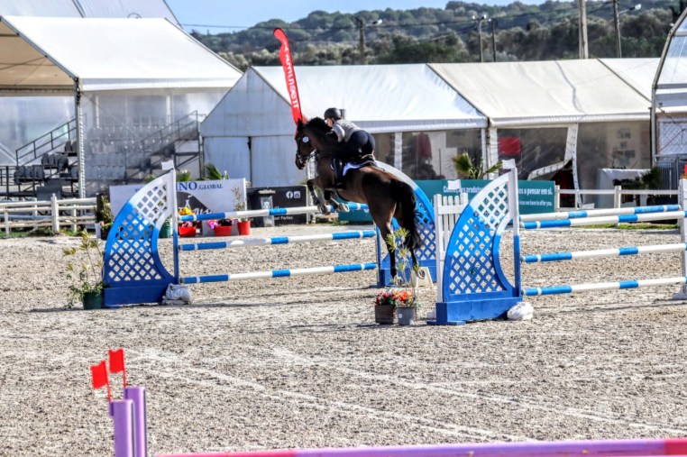 Libby Newman Team Equihunter Show Jumping