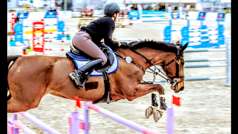 Libby Newman Team Equihunter Show Jumping