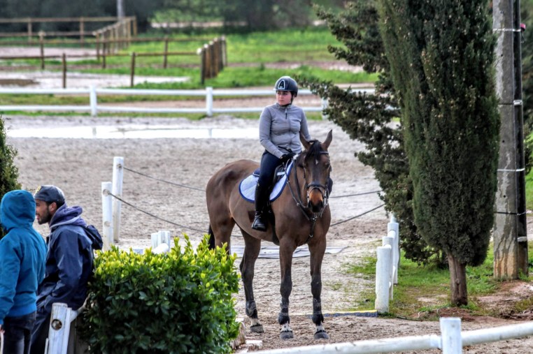 Libby Newman Team Equihunter Show Jumping