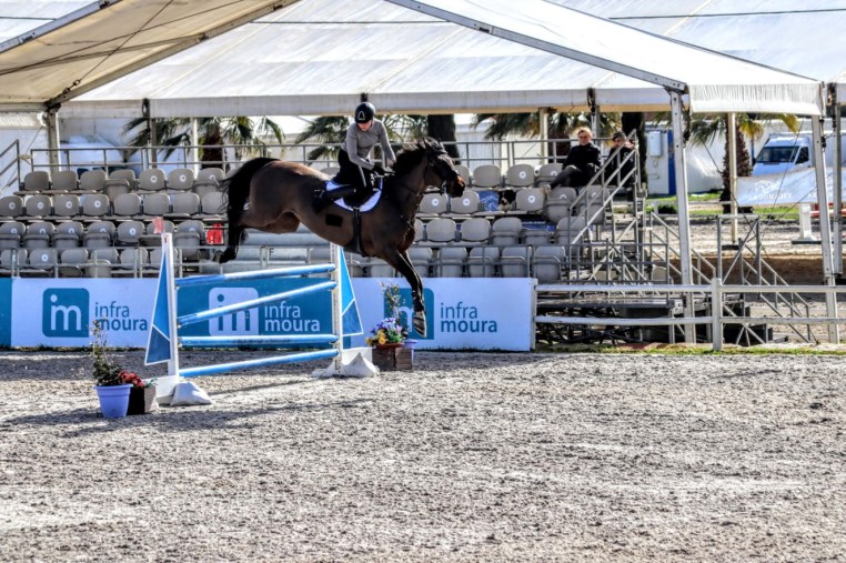 Libby Newman Team Equihunter Show Jumping