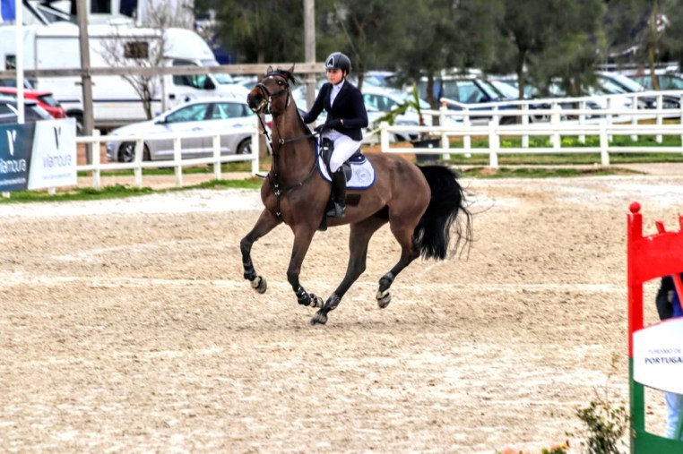 Libby Newman Team Equihunter Show Jumping
