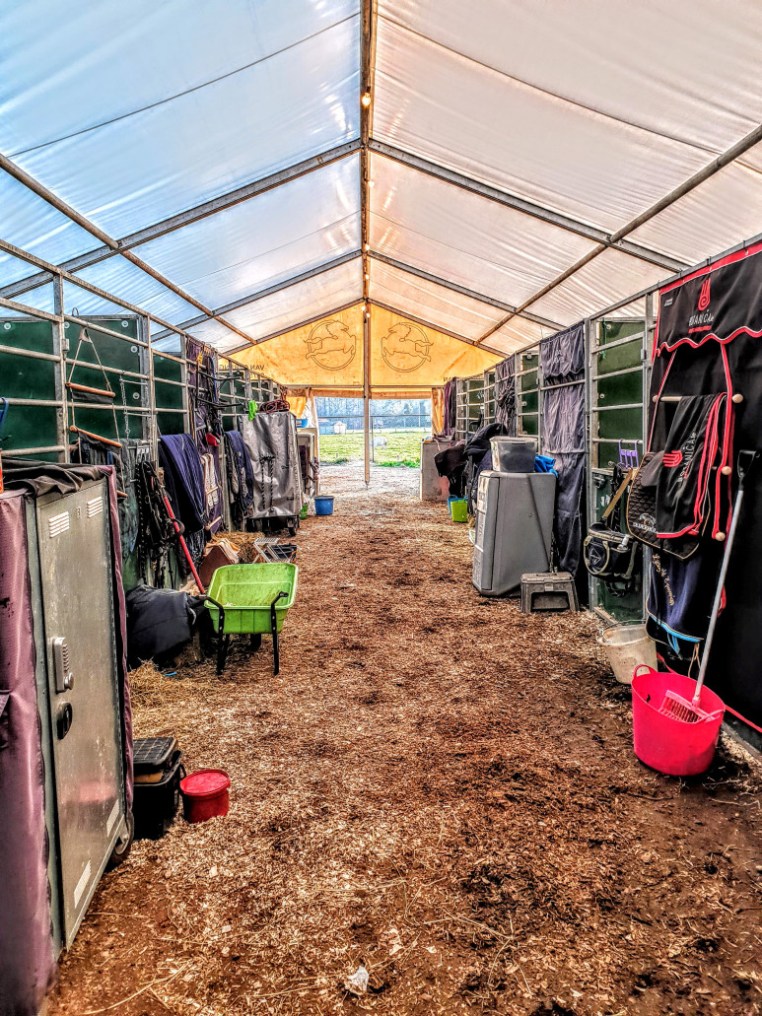 Libby Newman Team Equihunter Show Jumping