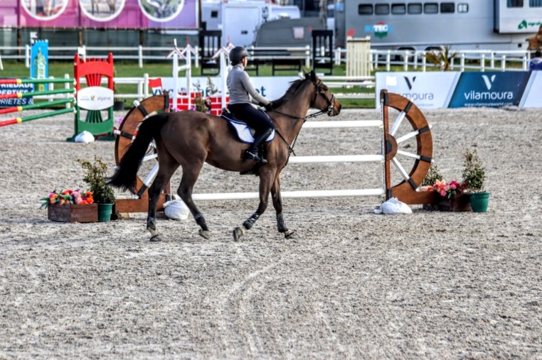 Libby Newman Team Equihunter Show Jumping