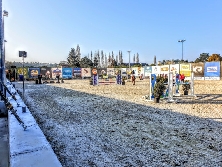 Libby Newman Team Equihunter Show Jumping