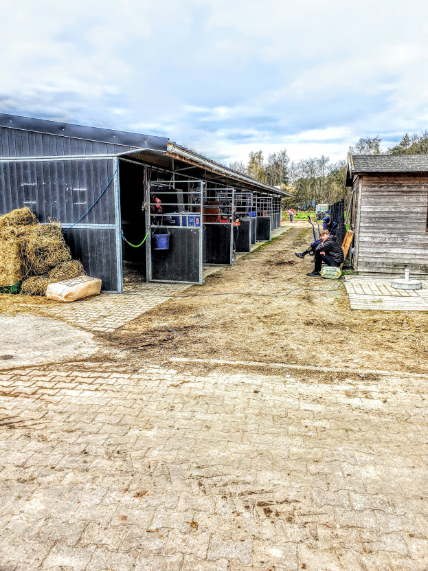 Libby Newman Team Equihunter Show Jumping