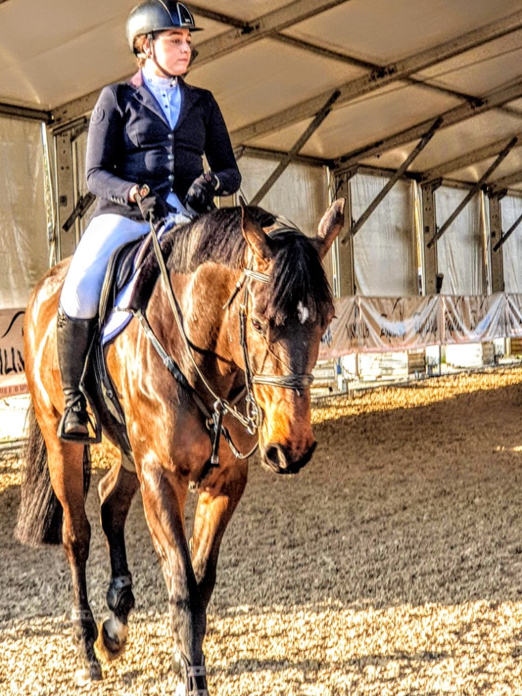 Libby Newman Team Equihunter Show Jumping