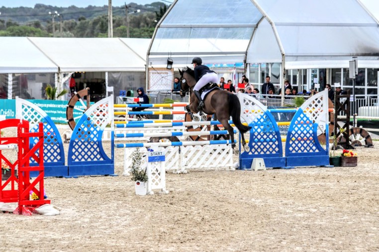 Libby Newman Team Equihunter Show Jumping