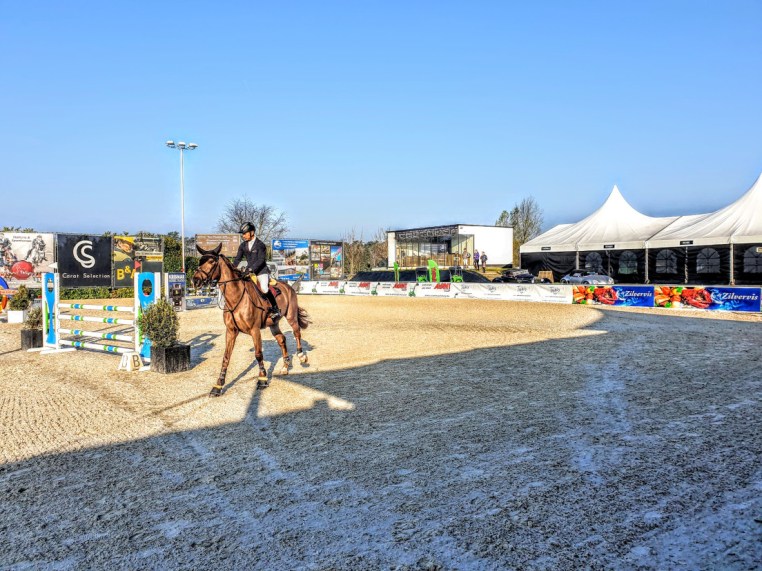 Libby Newman Team Equihunter Show Jumping