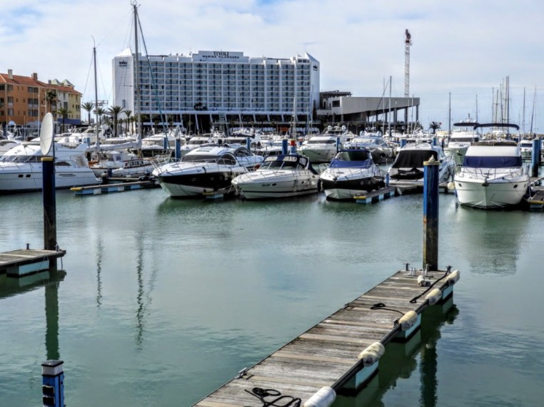 Libby Newman Team Equihunter Show Jumping