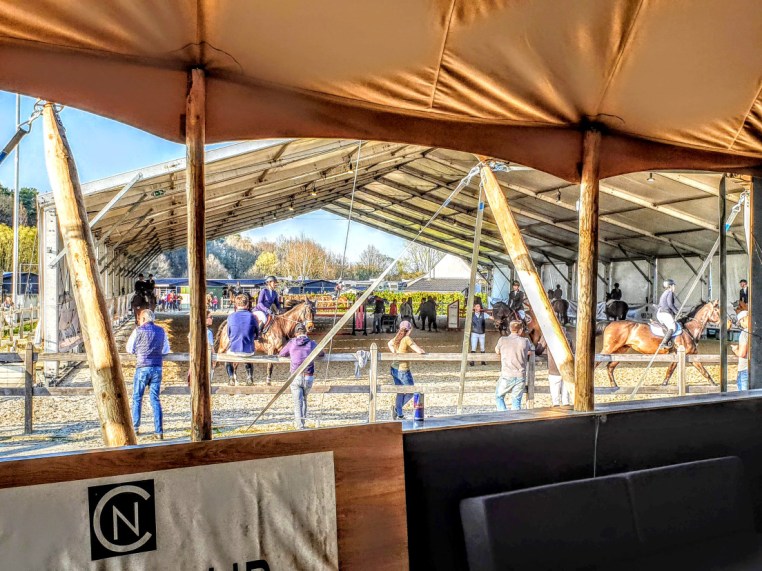 Libby Newman Team Equihunter Show Jumping