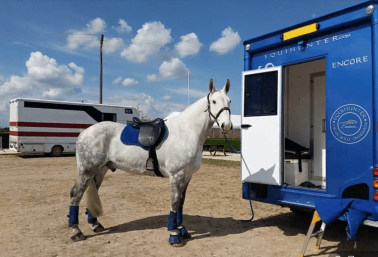 The Encore 45, 4.5 Tonne Horsebox