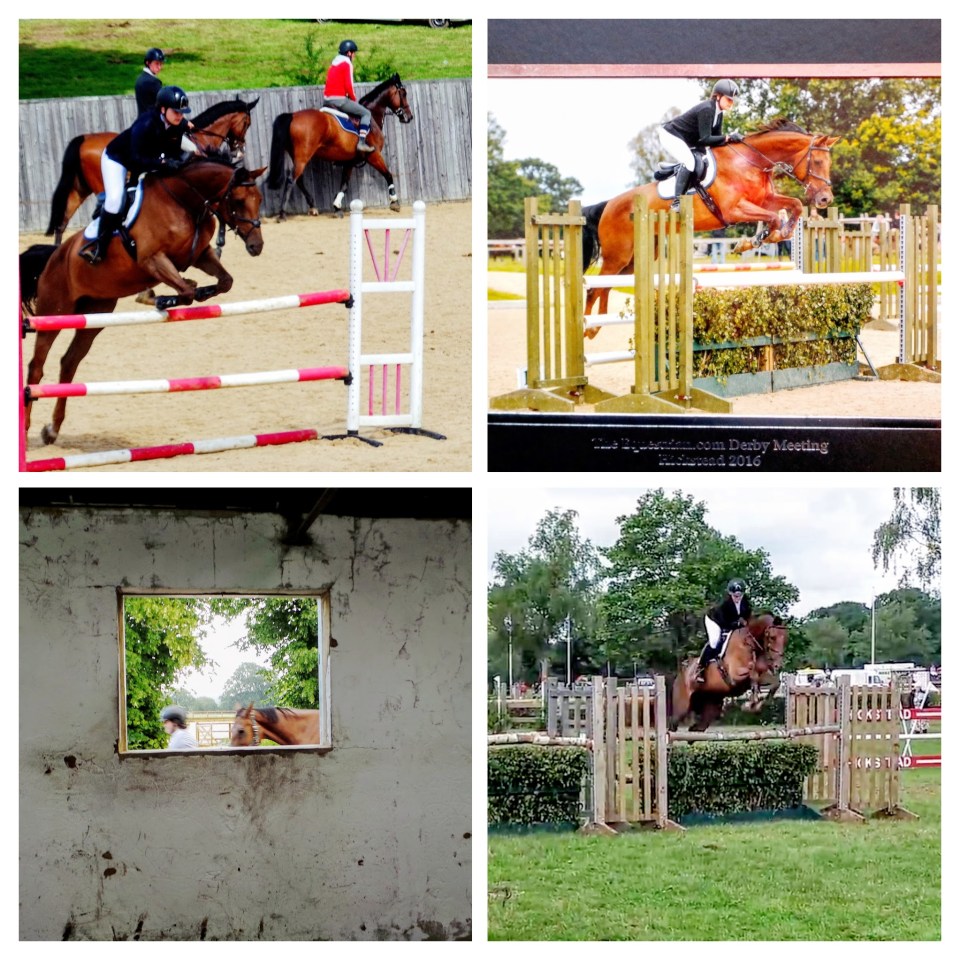 Welcome to Team Equihunter-Collage