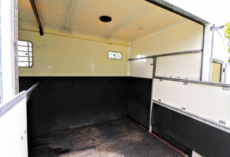 Treka For Sale horse area from ramp