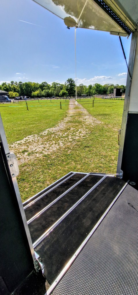 New Build Equihunter Arena Two Stall 3.5 Tonne Horsebox For Sale